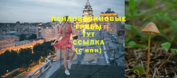 кристаллы Карпинск